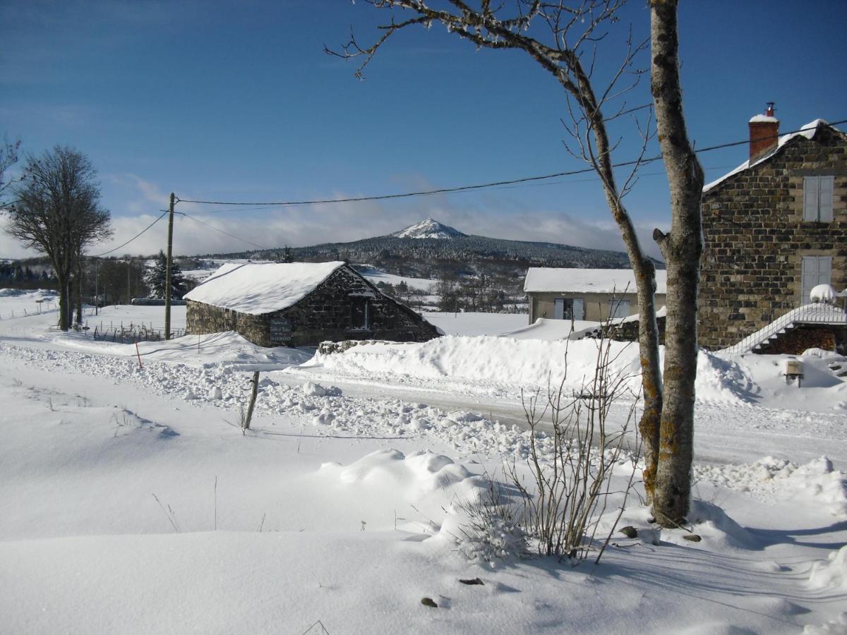 Saint-JeuresLa Ferme De Madelonnet住宿加早餐旅馆 外观 照片