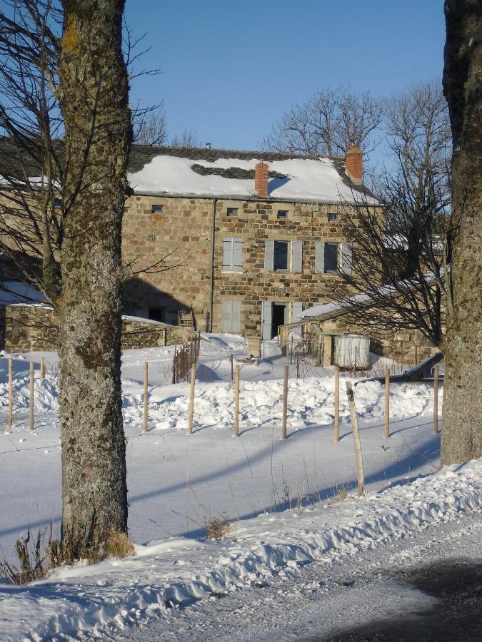 Saint-JeuresLa Ferme De Madelonnet住宿加早餐旅馆 外观 照片