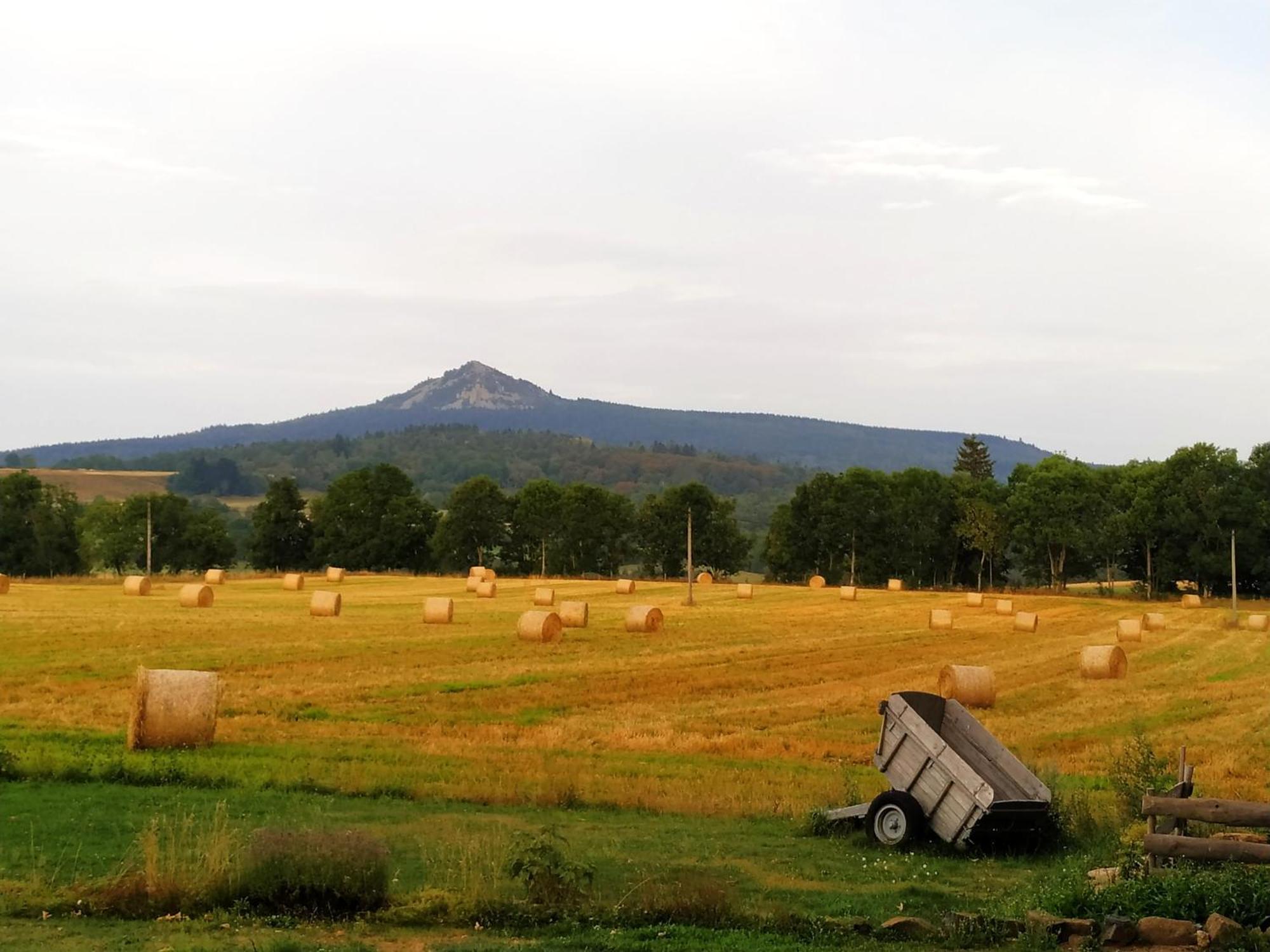 Saint-JeuresLa Ferme De Madelonnet住宿加早餐旅馆 外观 照片